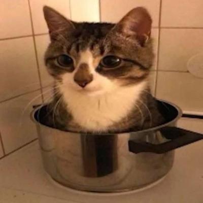 schleimski@m.it.hs-worms.de